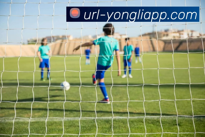 App 示例图